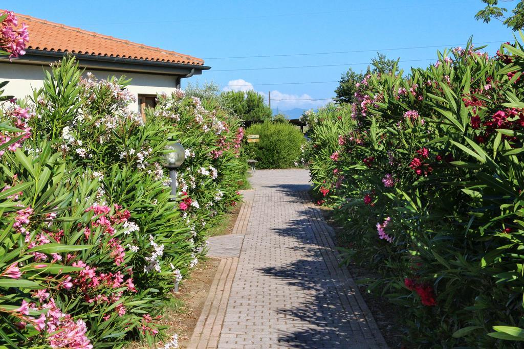 Agriturismo Gli Etruschi Populonia Kültér fotó