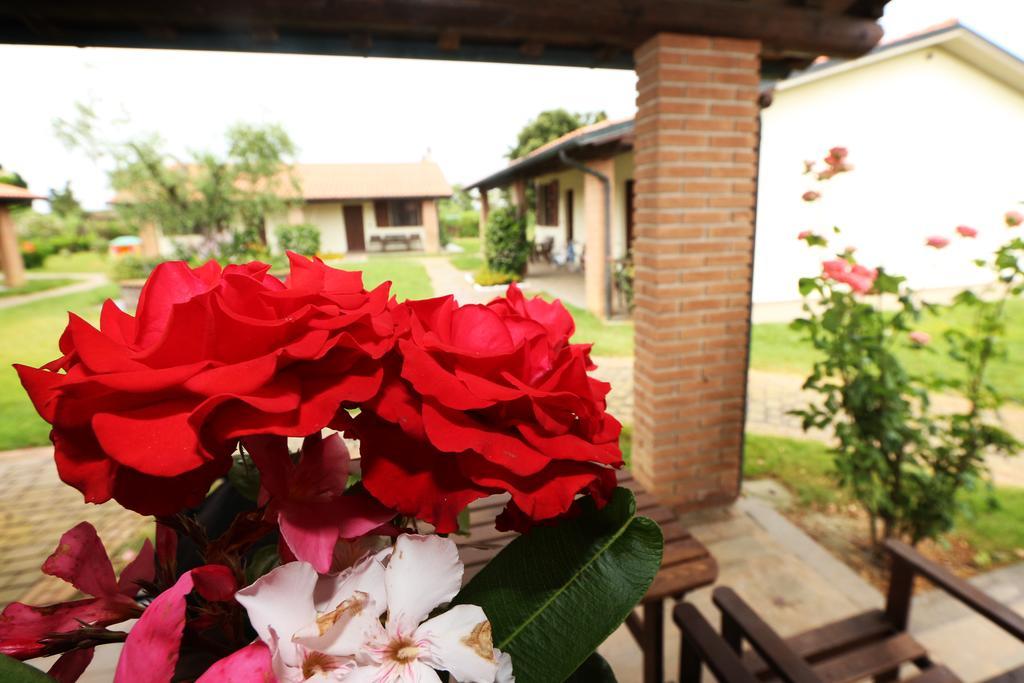 Agriturismo Gli Etruschi Populonia Szoba fotó