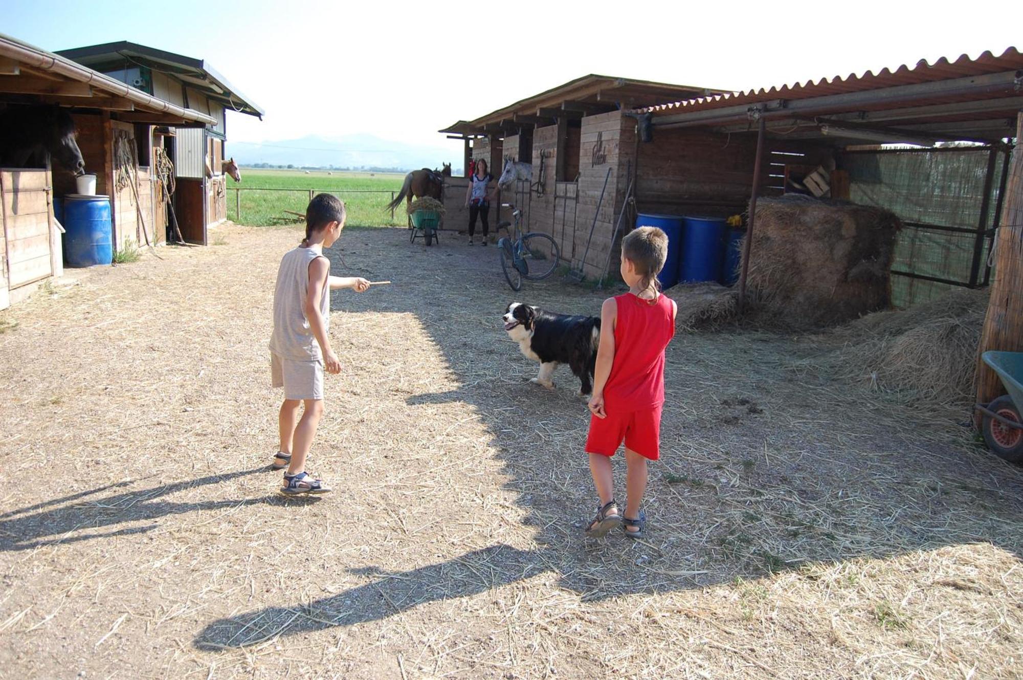 Agriturismo Gli Etruschi Populonia Kültér fotó