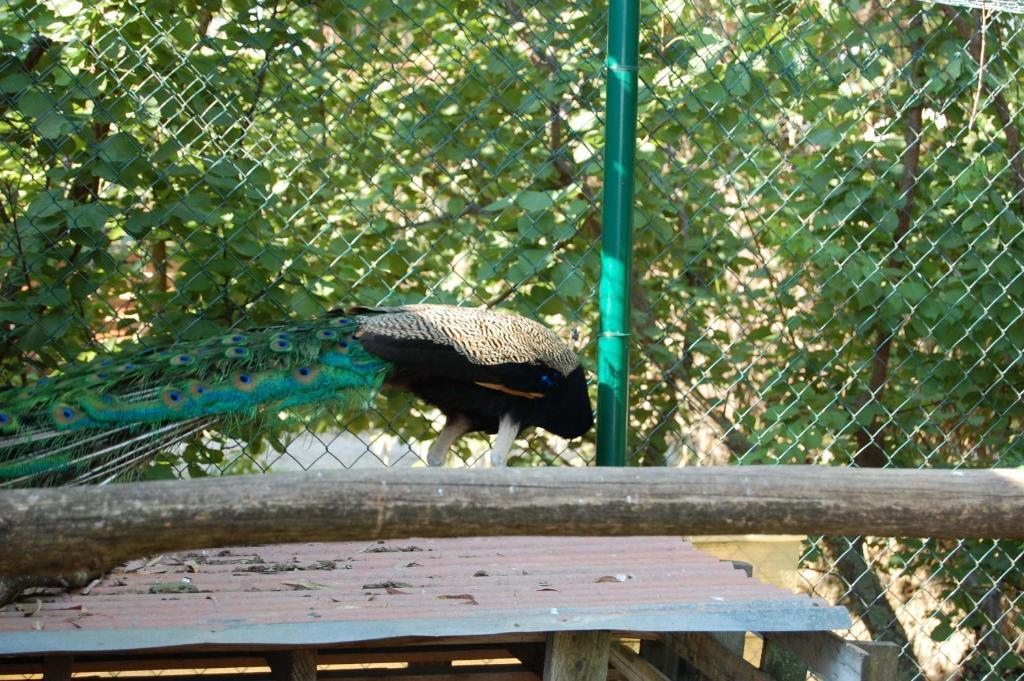 Agriturismo Gli Etruschi Populonia Kültér fotó