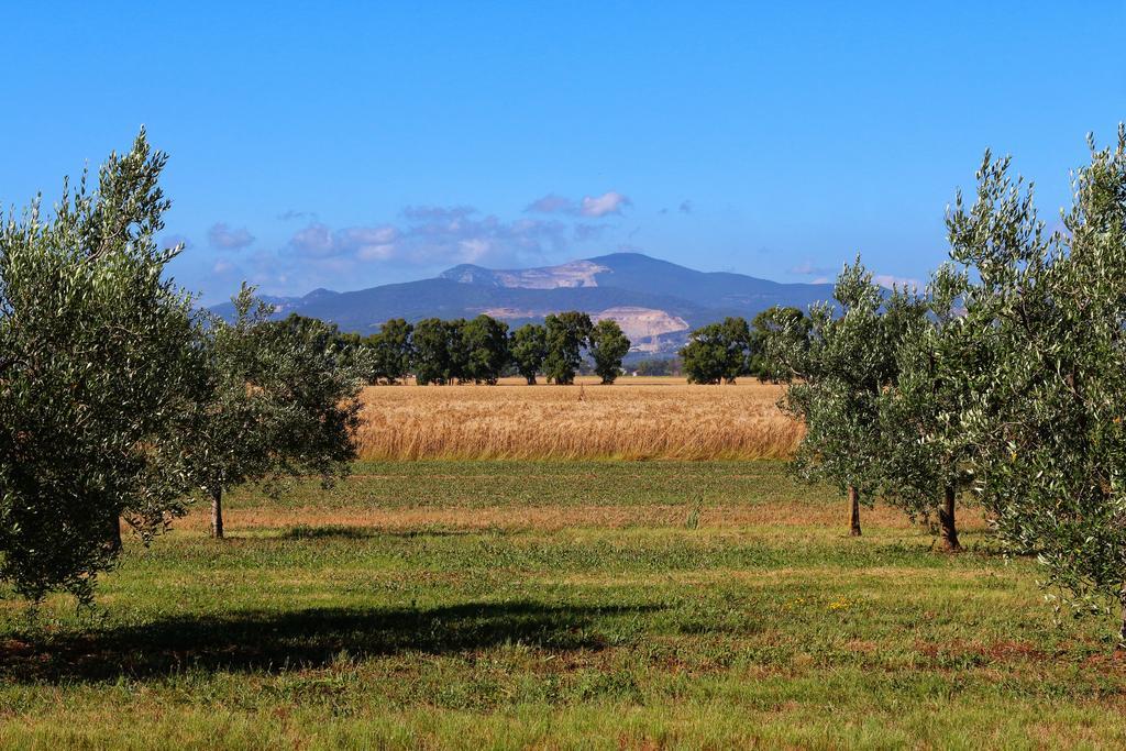 Agriturismo Gli Etruschi Populonia Kültér fotó